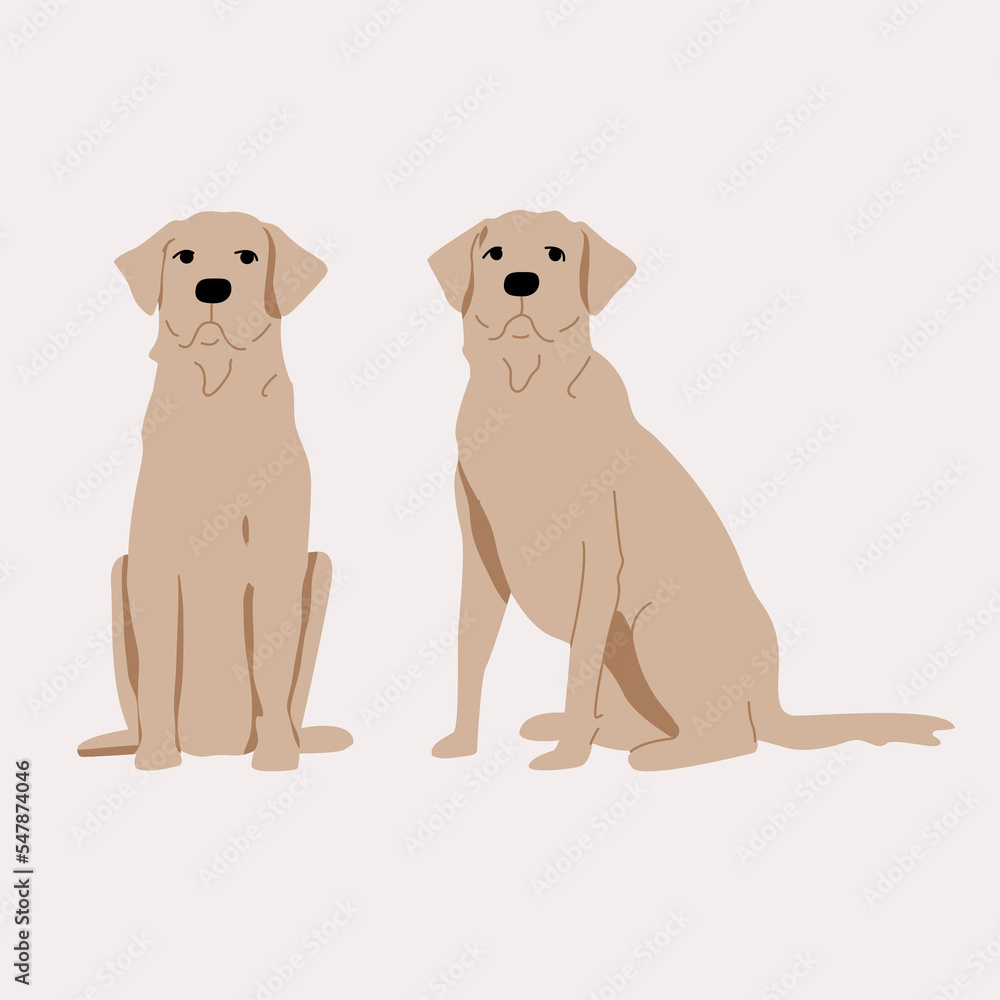 Labrador dog illustration. Sits. Set full face and profile. Labrador dog illustration. Sits. Set full face and profile.