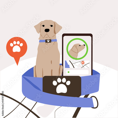 The Labrador sits in a collar. Tracker for dogs. Application with geolocation in the phone. The location of the pet.
