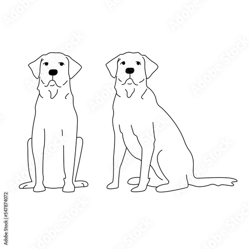 Labrador dog silhouette illustration. Sits. Set full face and profile. Line
