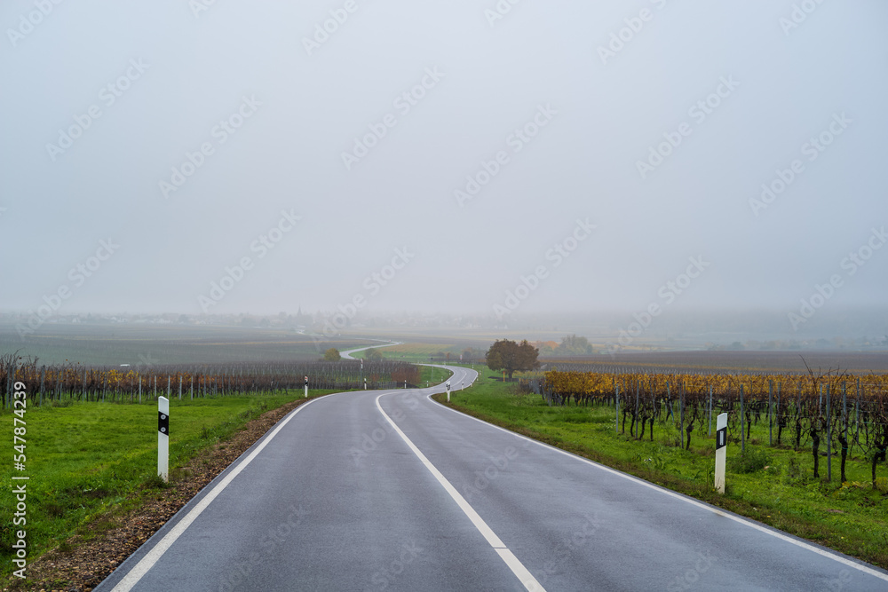 Fototapeta premium november, straße in den nebel