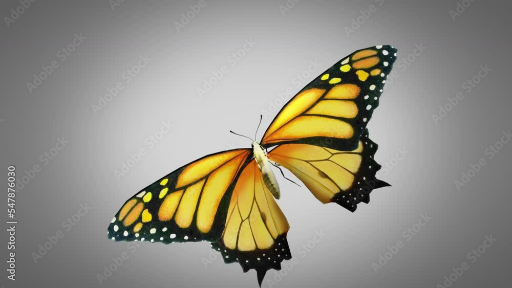 Butterfly flying Close up 3D rendering Butterfly flying Close up 3D rendering