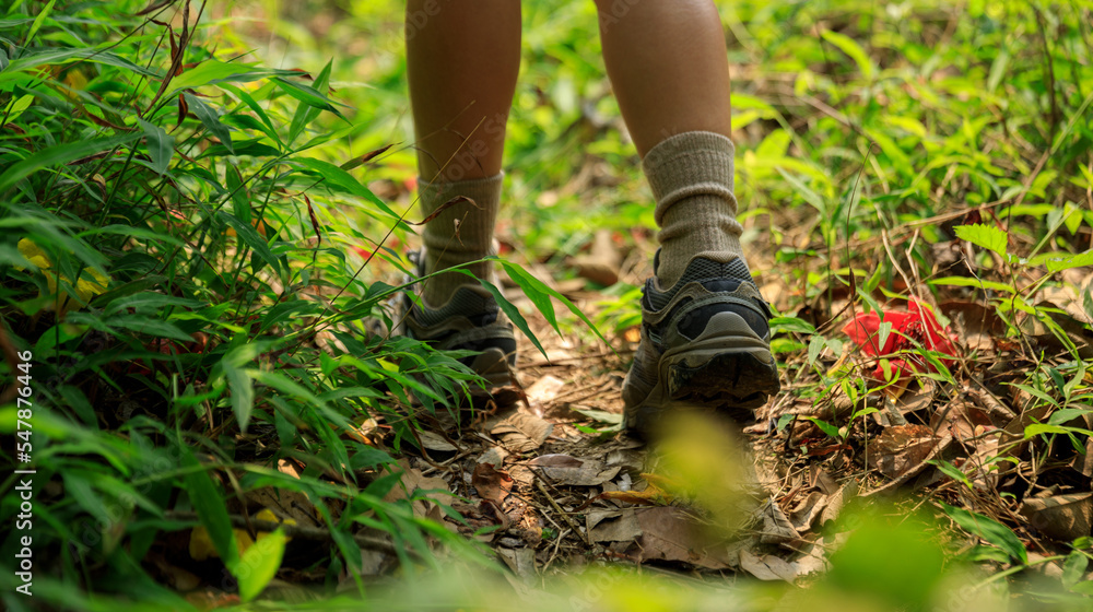 Woman hiker legs walking on trail in spring forest Woman hiker legs walking on trail in spring forest