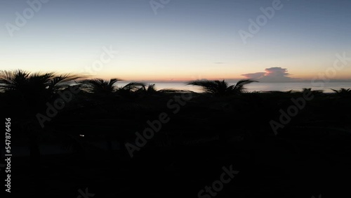 Reversed footage of palms and the sea at sunrise with splendid colorful horizon photo