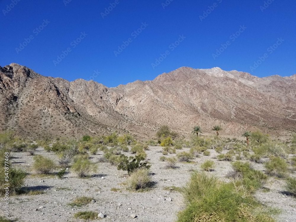 San Jacinto Desert Mountains, Palm Springs, United States San Jacinto Desert Mountains, Palm Springs, United States