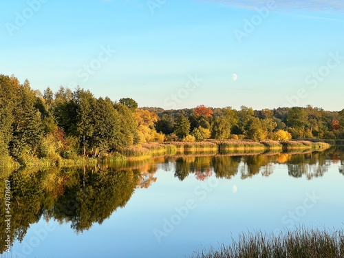 a body of water covered with plants around a park with different colors of trees and bushes in autumn