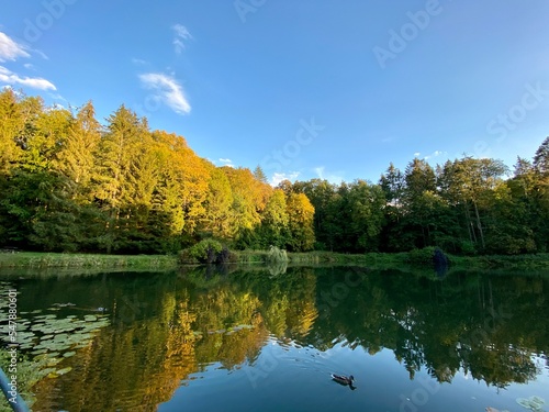 pond covered with plants around park with different colors of trees and bushes in autumn blue sky covered with clouds