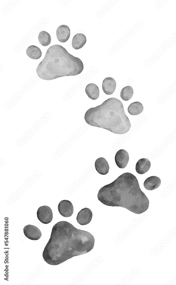 4 cat paw prints border in black and white 4 cat paw prints border in black and white