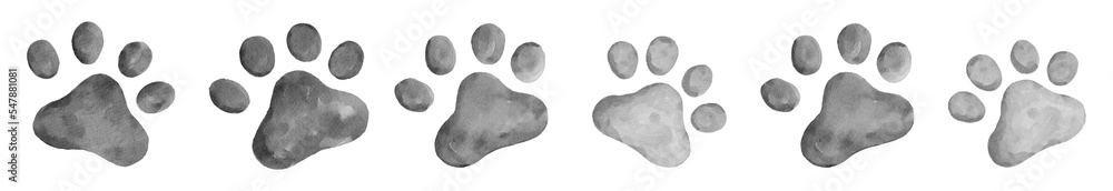 cat paw prints random row pattern for border in black and white watercolor graphic element cat paw prints random row pattern for border in black and white watercolor graphic element