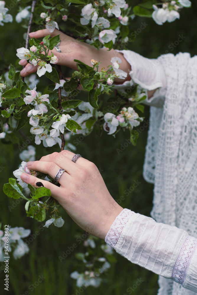 Close up hands on blooming branch concept photo. Springtime blossoming. Side view photography with female hands on background. High quality picture for wallpaper, travel blog, magazine, article