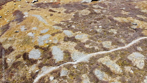 Scenic aerial view of a winding trekking path in a forest. Trekking path in the forest from above, drone view. Aerial top view of a marvelous golden autumn colors mountain range. Altai mountains.