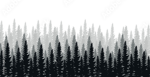 Panorama of dense forest, fir and pine natural green landscape, web background, template - Vector