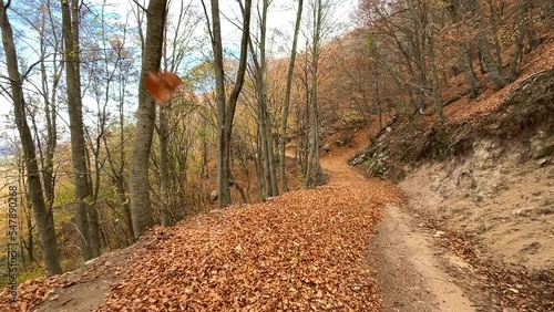 Autumn landscape in the natural park of Montseny in the province of Barcelona in Spain
