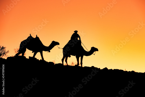 Camels and bedouin silhuettes at orange sunset in Jordan