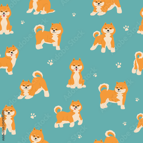 Seamless pattern with cute shiba inu dogs. Funny japanese smiling animals. Hand drawn vector illustration isolated on blue background. Modern flat cartoon style. © Olena