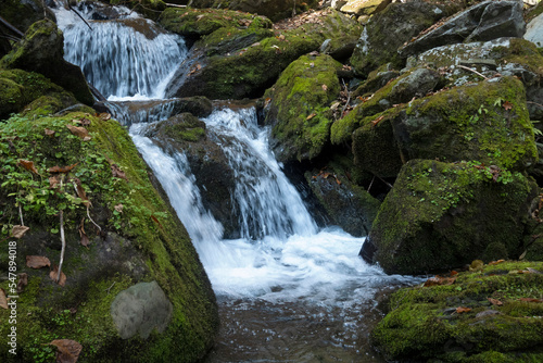 Fototapeta Naklejka Na Ścianę i Meble -  이끼 낀 바위 사이로 흐르는 맑은 물