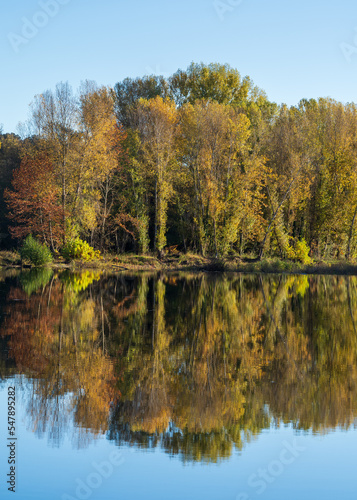 Scenic autumn landscape of trees with colorful fall foliage reflection in Gardon river, Cardet, Gard, France