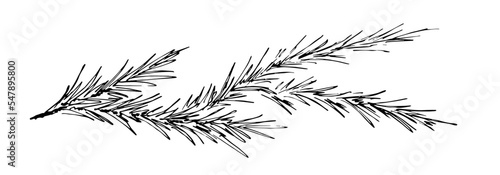 Simple hand drawn vector drawing in black outline. Pine branches, festive garland, banner. New Year, Christmas design. Coniferous, ornaments. Ink sketch.