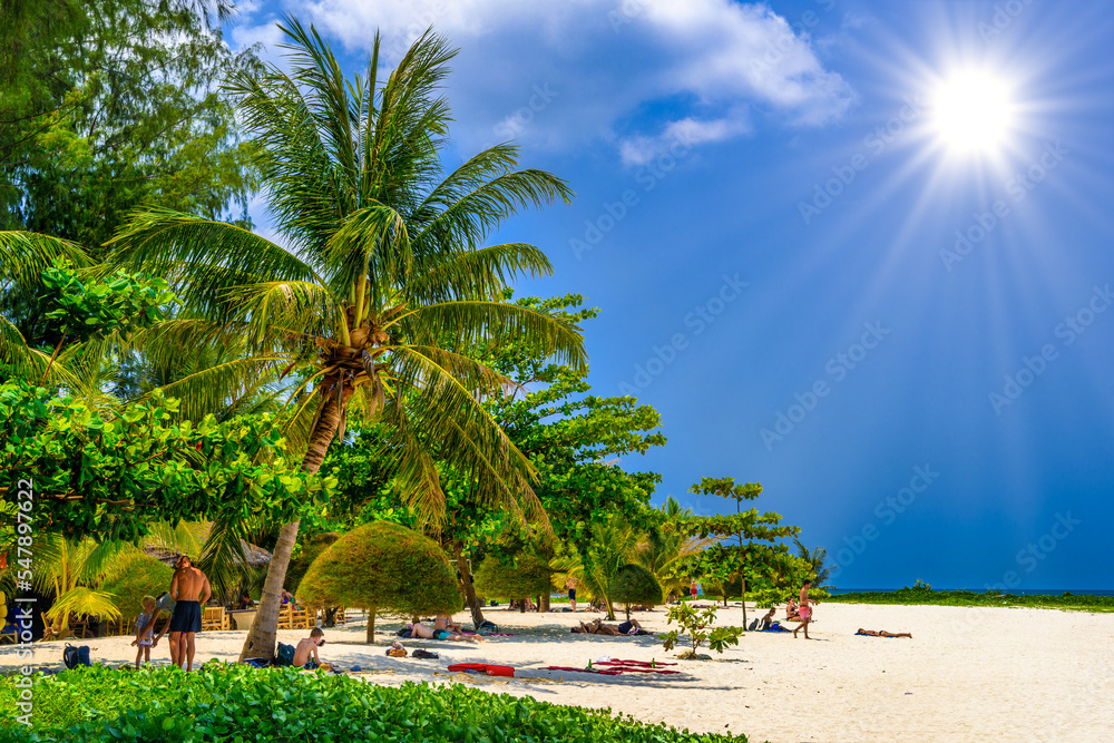 Palms and sand on Malibu Beach, Koh Phangan island, Suratthani,