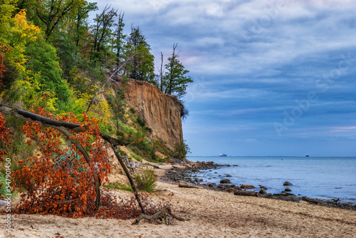 Orlowo Cliff And Beach At Baltic Sea In Gdynia, Poland