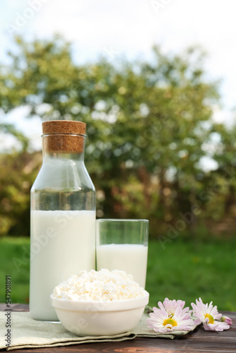 Tasty fresh milk and cottage cheese on wooden table outdoors