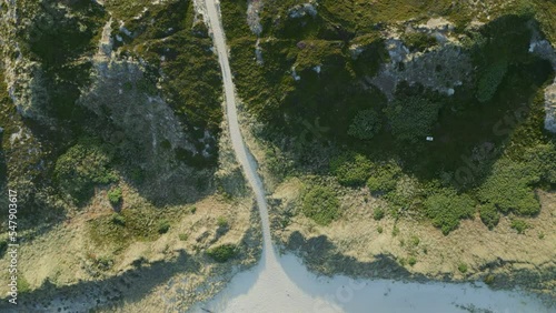 Aerial view of dunes landscape with white sand path leading to the beach. National park in the Wadden sea in Sylt, Germany. photo
