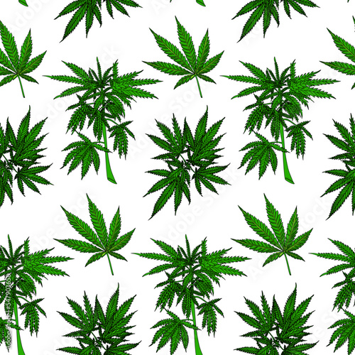 Hemp plant pattern. Cannabis branch with leaves. Marijuana twig vector seamless pattern on white background