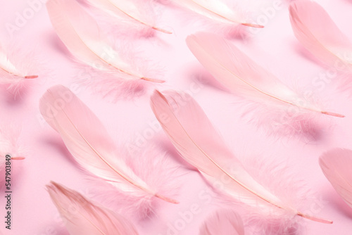 Beautiful feathers on light pink background, closeup © New Africa