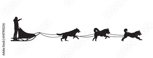 Dog sled silhouette on a white isolated vector background photo