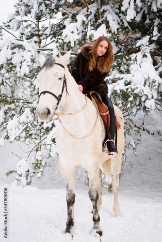 Winter coniferous forest with snow. Young girl with long hair on a horse. Christmas vacation