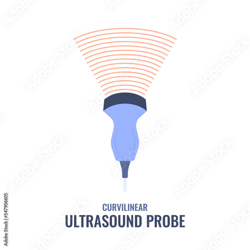 Curvilinear ultrasound probe diagram. Convex array transducer for abdominal examinations. Medical sonography concept. Radiology equipment vector illustration.