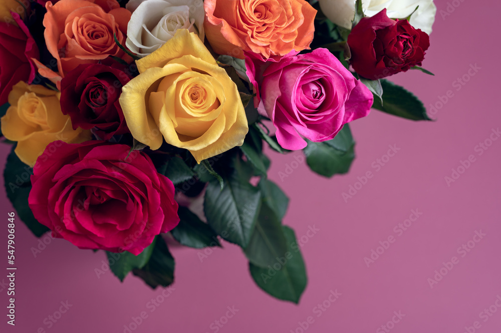 Bunch of colorful roses. Beautiful bouquet of roses in variety of colors on dusty pink background with copy space Bunch of colorful roses. Beautiful bouquet of roses in variety of colors on dusty pink background with copy space