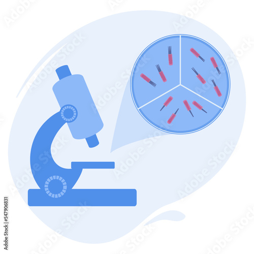 Hair follicle grafts cultivation for hair transplantation procedure. FUT and FUE alopecia treatment methods infographics. Medical vector illustration.