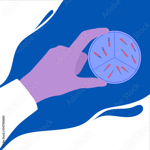 Hair follicle grafts cultivation for hair transplantation procedure. FUT and FUE alopecia treatment methods infographics. Medical vector illustration.