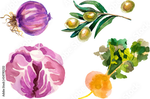 Watercolor painted collection of vegetables. Hand drawn fresh food design elements isolated on white background.