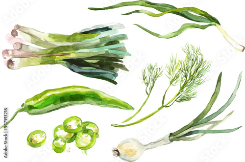 Watercolor painted collection of vegetables. Hand drawn fresh food design elements isolated on white background.