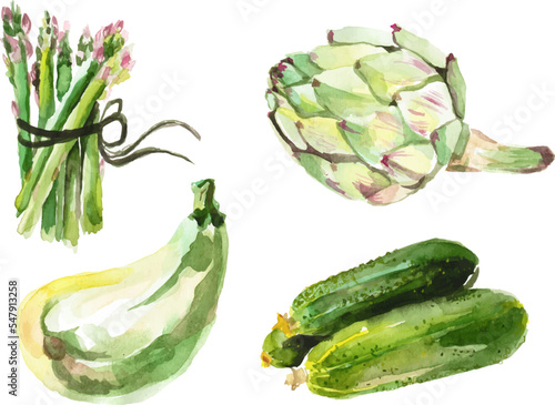 Watercolor painted collection of vegetables. Hand drawn fresh food design elements isolated on white background.