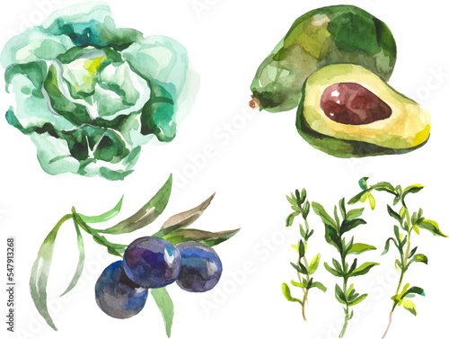 Watercolor painted collection of vegetables. Hand drawn fresh food design elements isolated on white background.