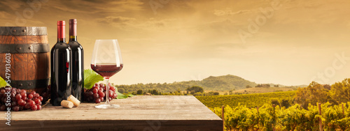 Fototapeta Naklejka Na Ścianę i Meble -  Wine tasting in the vineyard