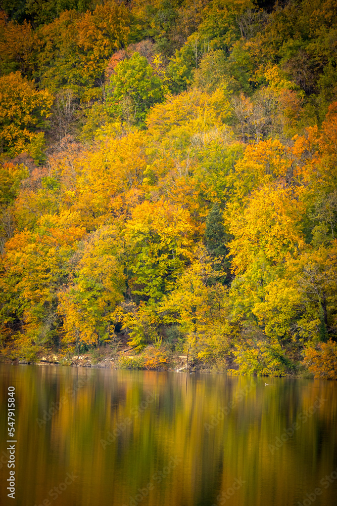 lac de Chalain, domaine de Chalain dans le Jura lac de Chalain, domaine de Chalain dans le Jura