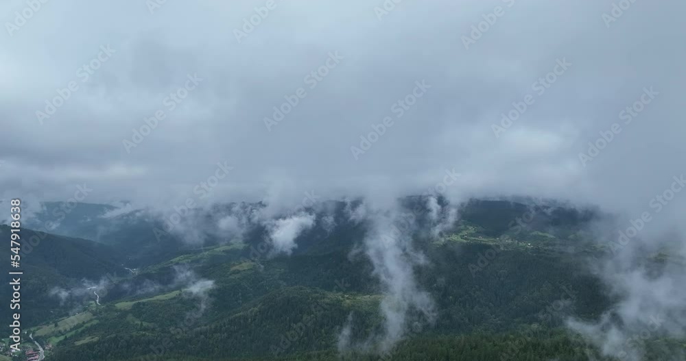 Pine forest fog clouds descending aerial top view drone 4K video Pine forest fog clouds descending aerial top view drone 4K video
