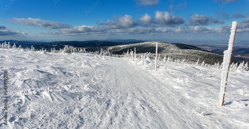 snowy forest on mountain, Jeseniky mountains