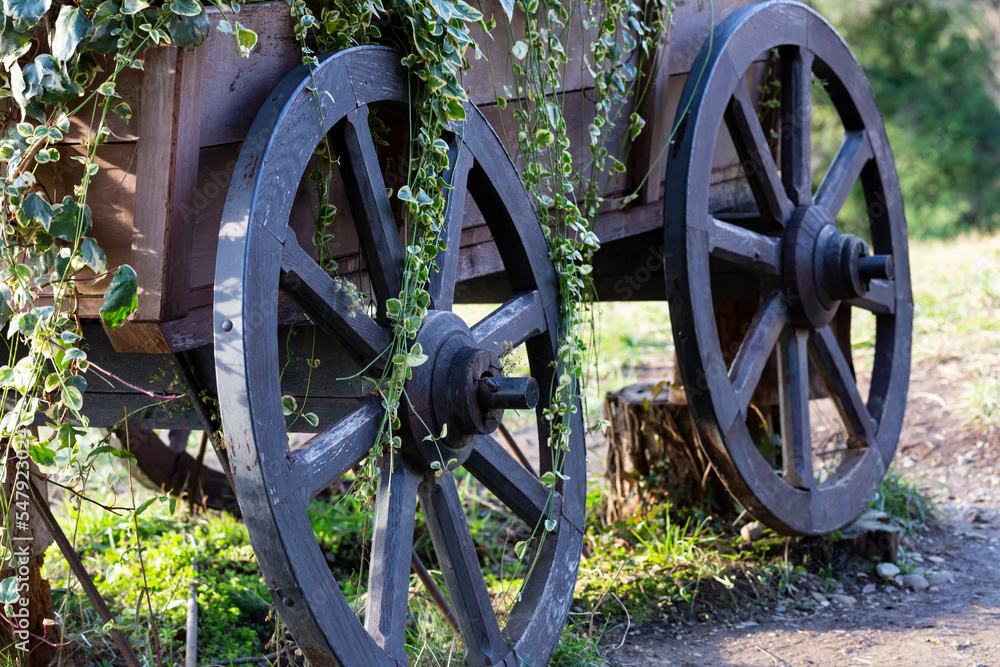 Old cart with big wooden wheels close-up