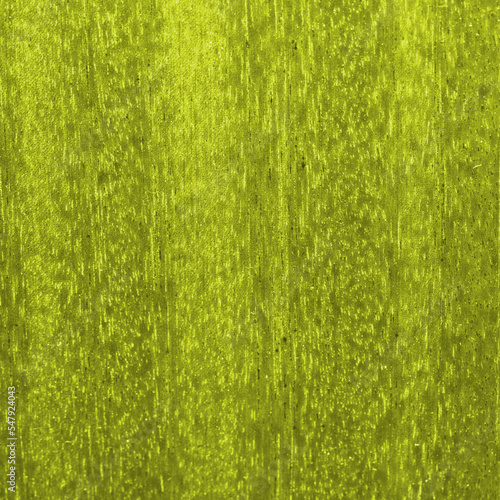 Abstract texture with a very complex green pattern. Closeup