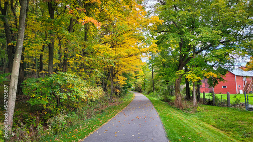 autumn in the park