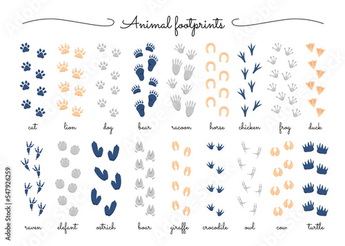 Canvastavla Animals footprints flat icons set