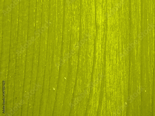 Abstract texture with stripes running from top to bottom in green. Closeup