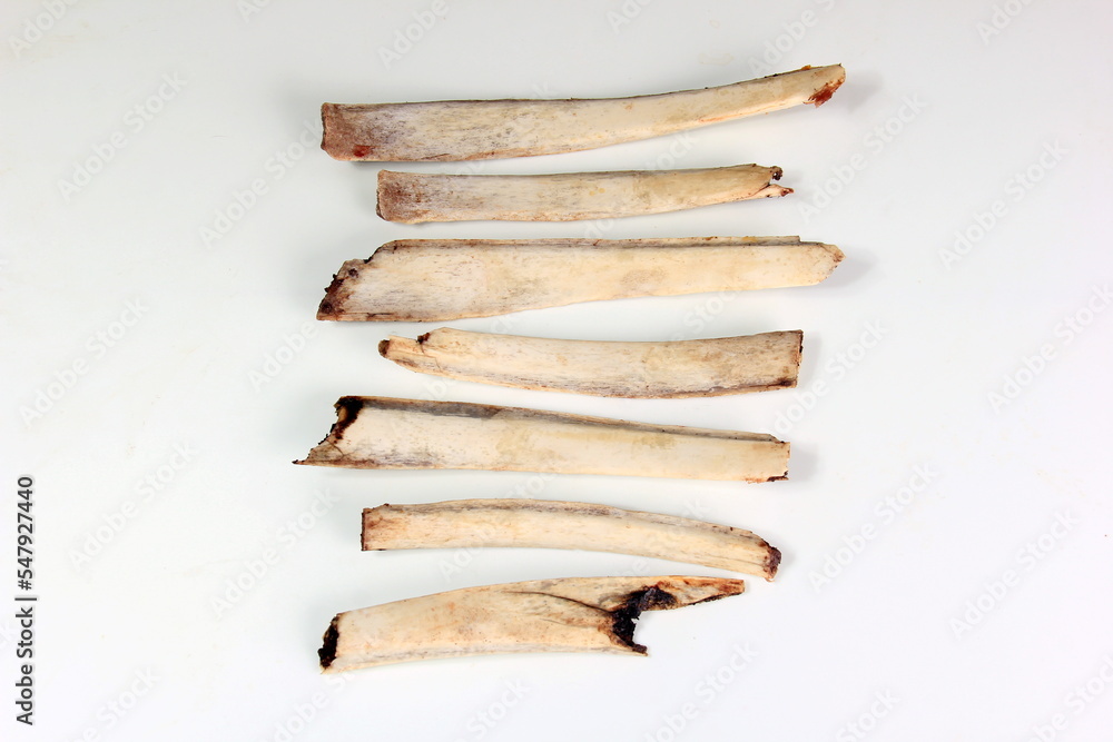 Natural deer bones isolated on white background, Ribs without meat Natural deer bones isolated on white background, Ribs without meat