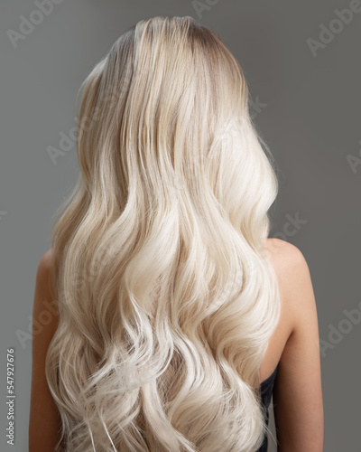 Vászonkép wavy blond long hair. ombre. back view