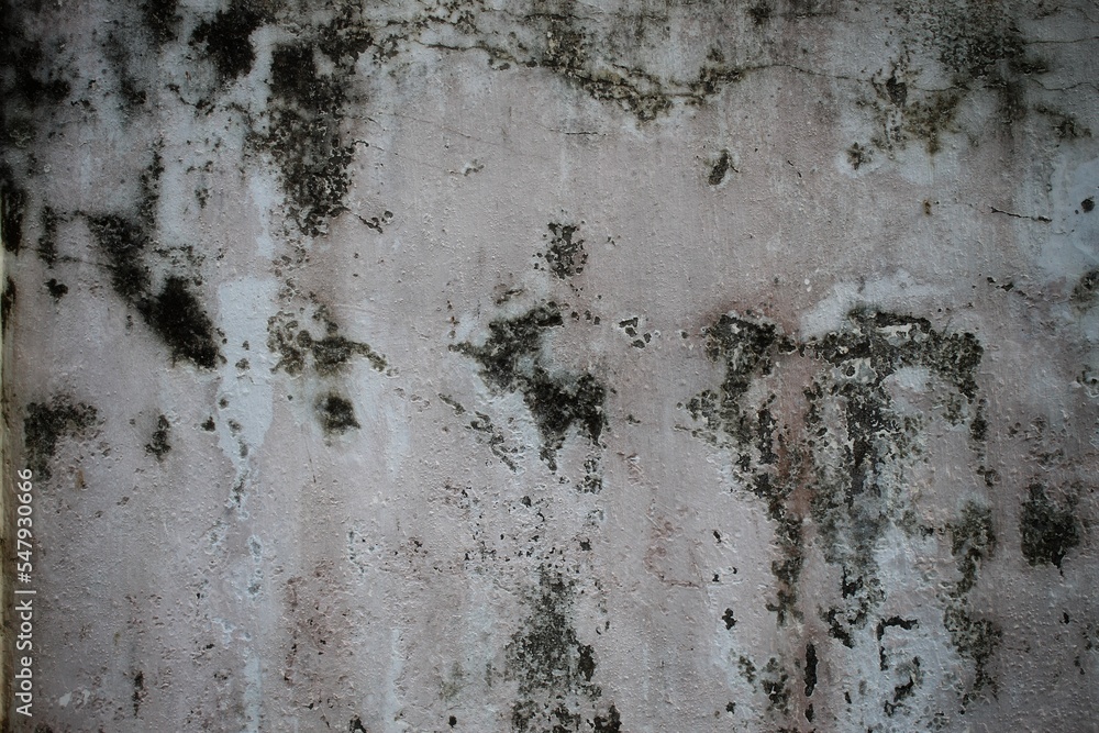 Unique textured cracked wall background this is a cement and concrete