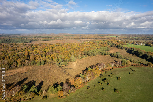 The drone aerial view of New Forest  National Park in autumn, Hampshire, England. The New Forest is one of the largest remaining tracts of unenclosed pasture land, heathland and forest. photo